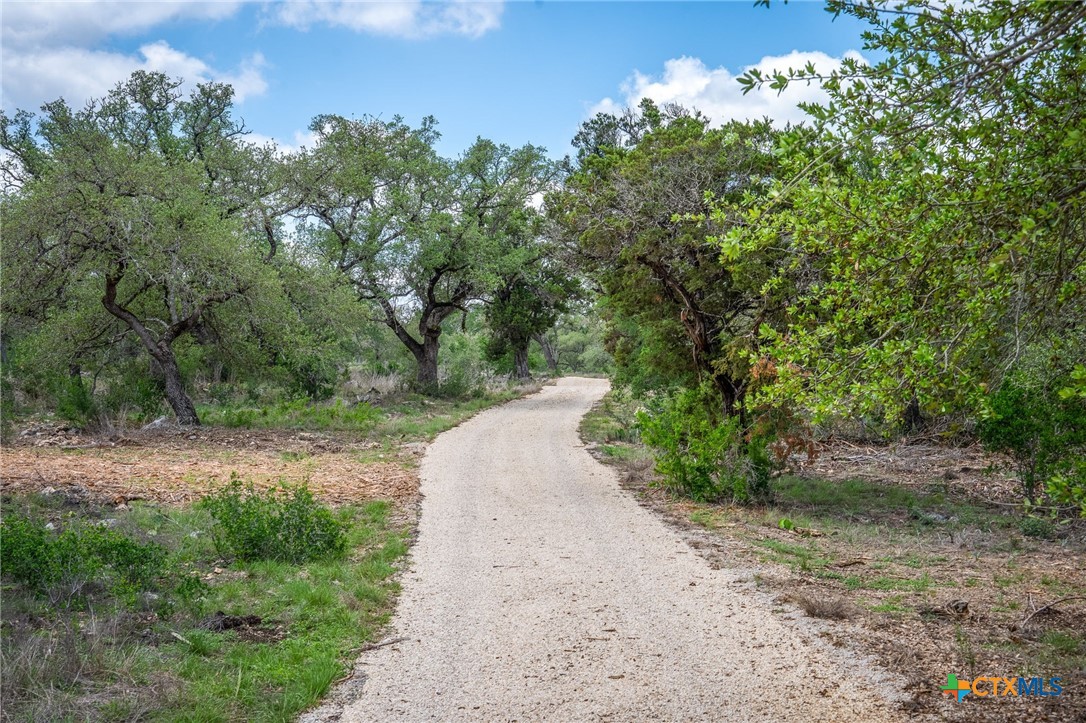 377 Buffalo Springs Road