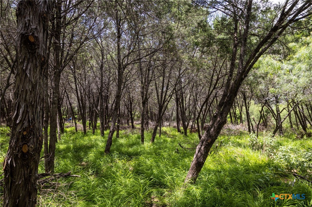 TBD Dry Creek Crossing