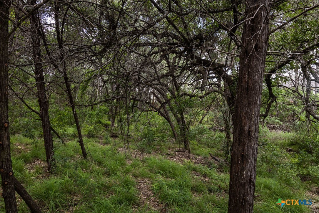 TBD Dry Creek Crossing