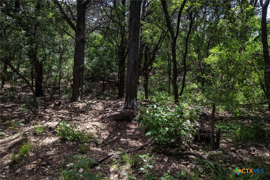 TBD Dry Creek Crossing