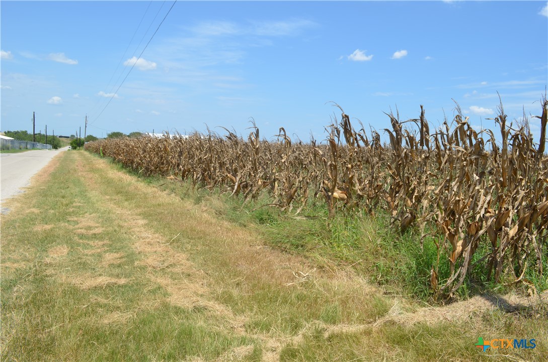 TBD County Road 306 Road
