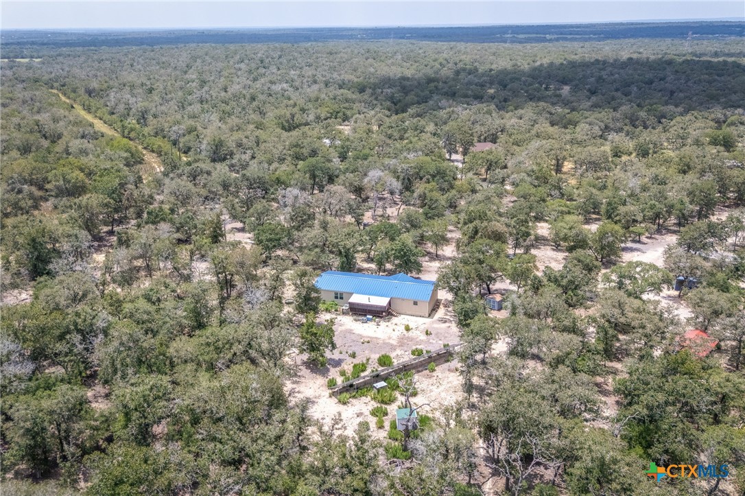 520 Turkey Tree Trail