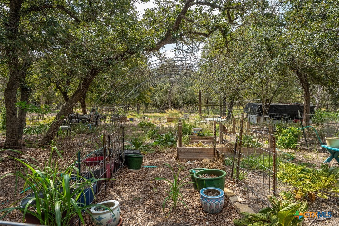 520 Turkey Tree Trail