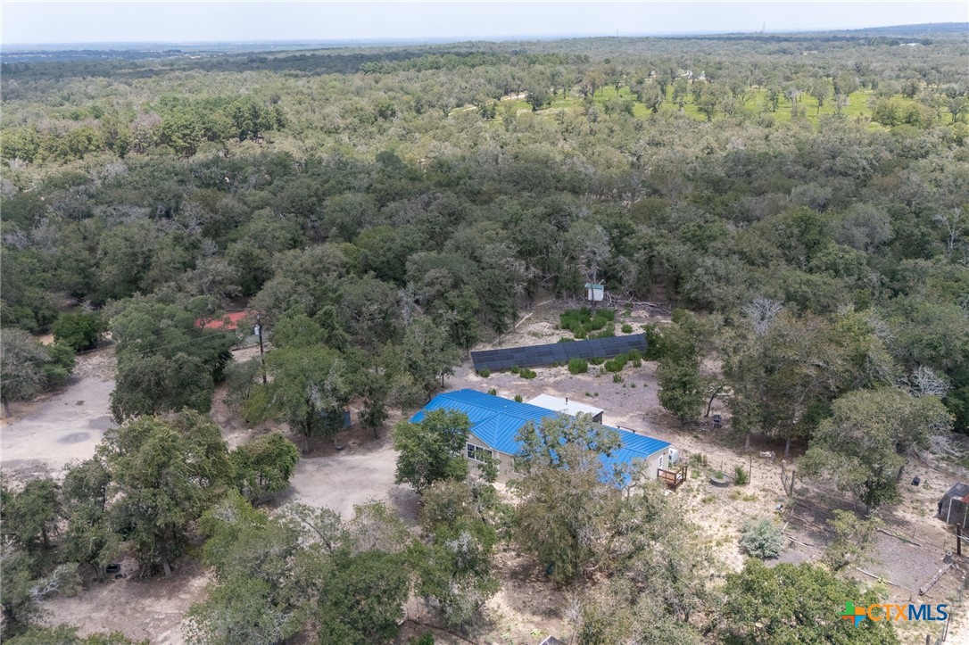 520 Turkey Tree Trail