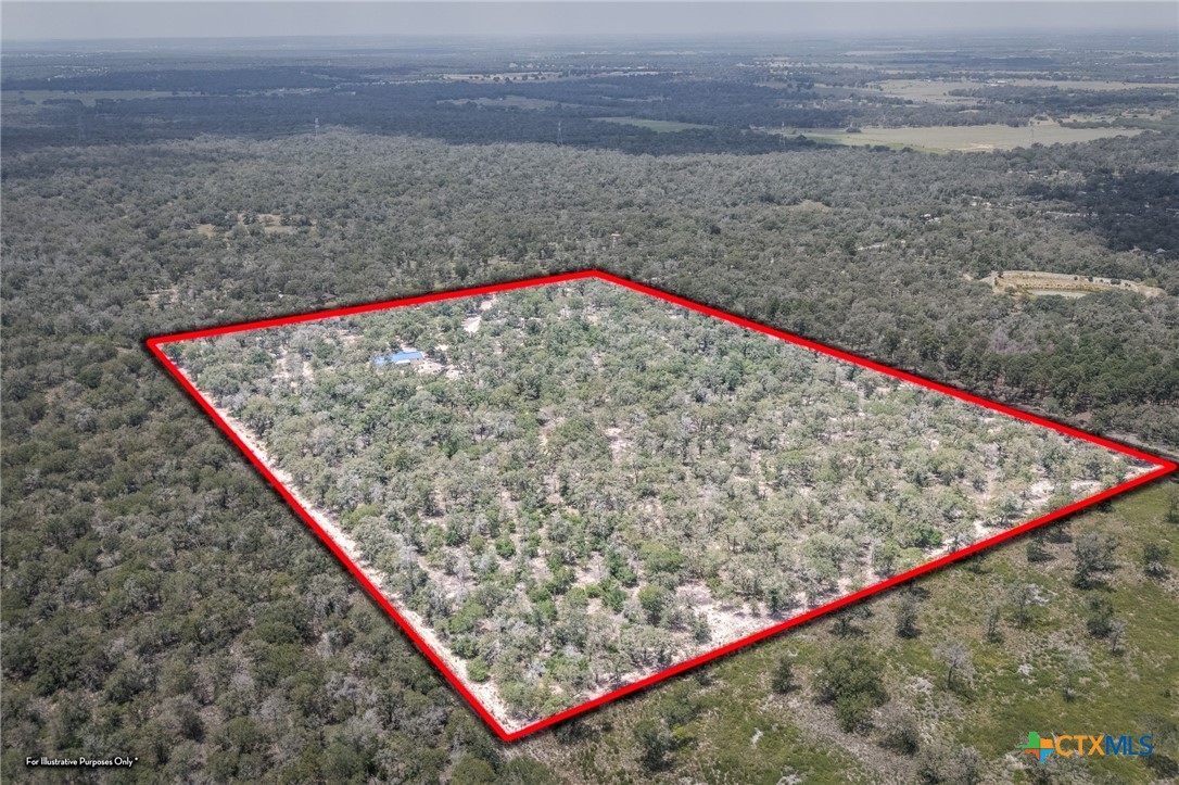 520 Turkey Tree Trail