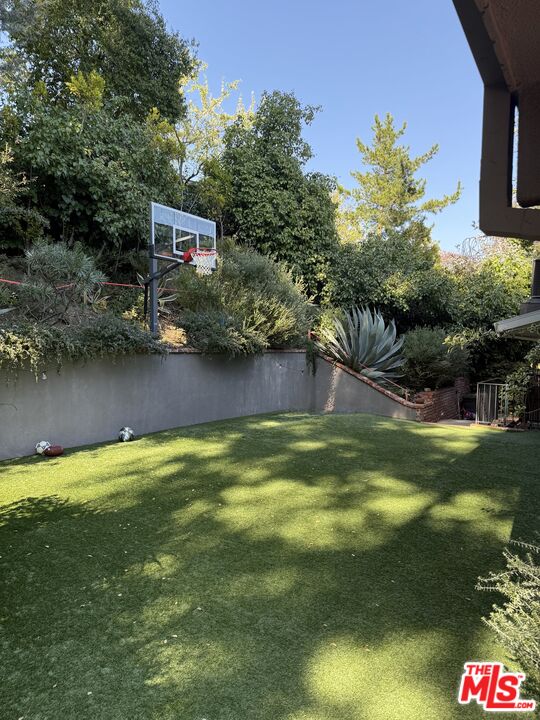 Backyard lawn with a basketball hoop, mature trees, and a large agave beside the retaining wall.