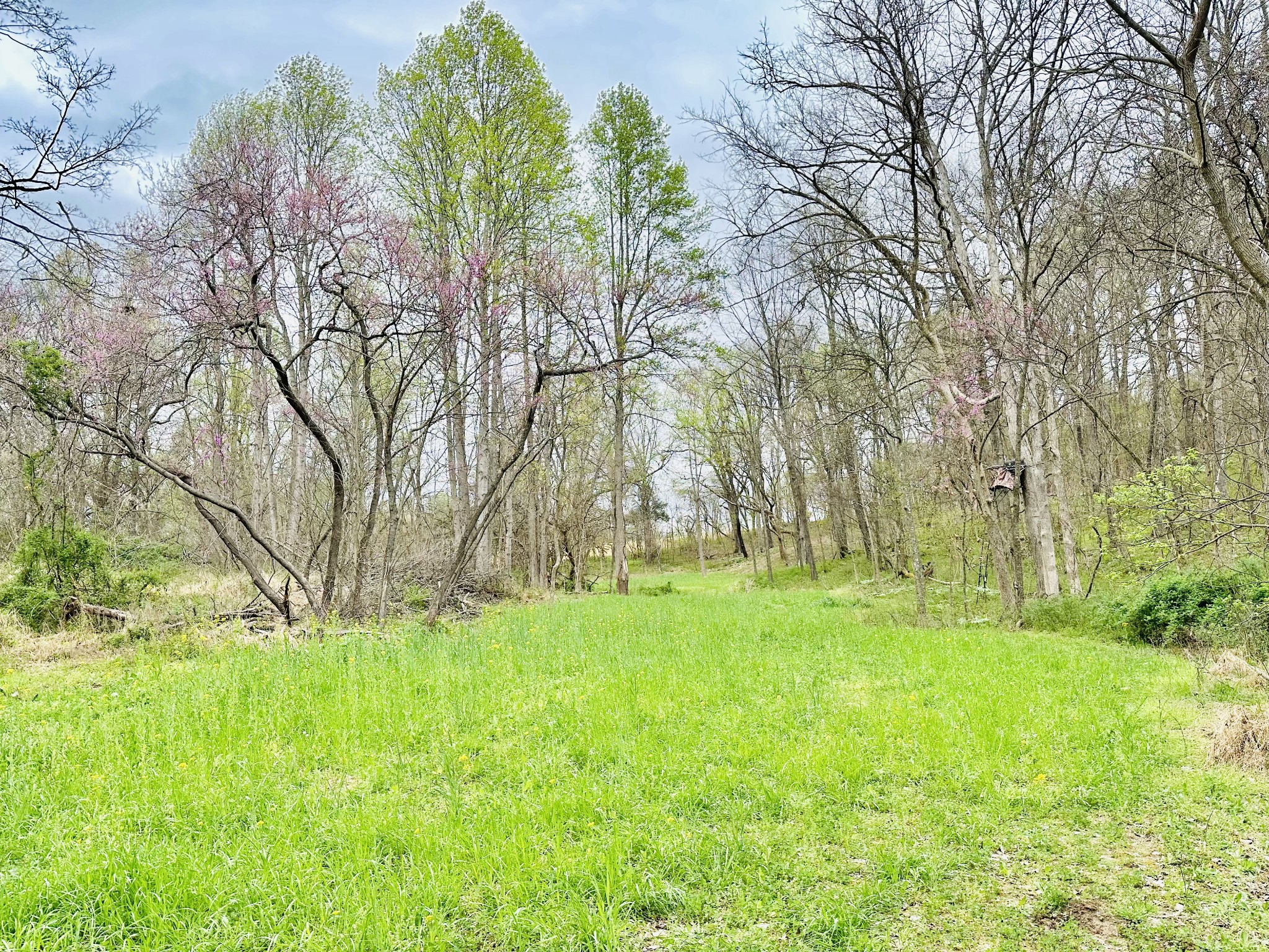 3055 Quisenberry Ln