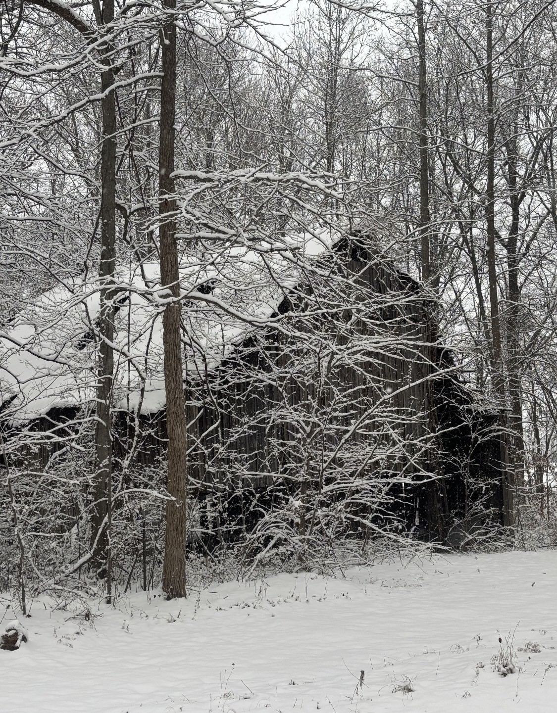 3375 Highway 49, W