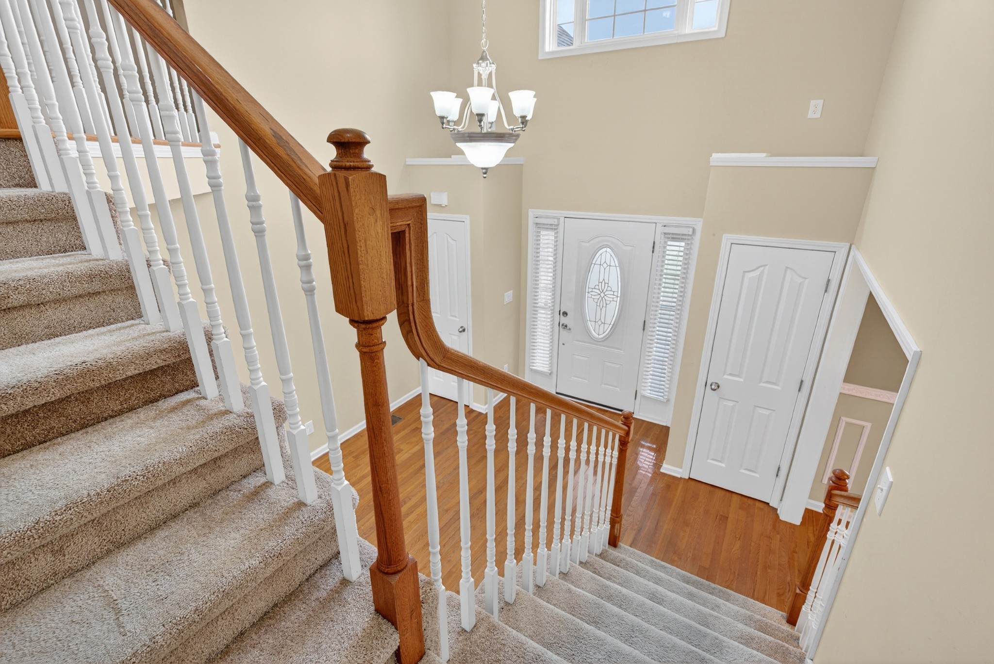 3876 Rhonda Ct