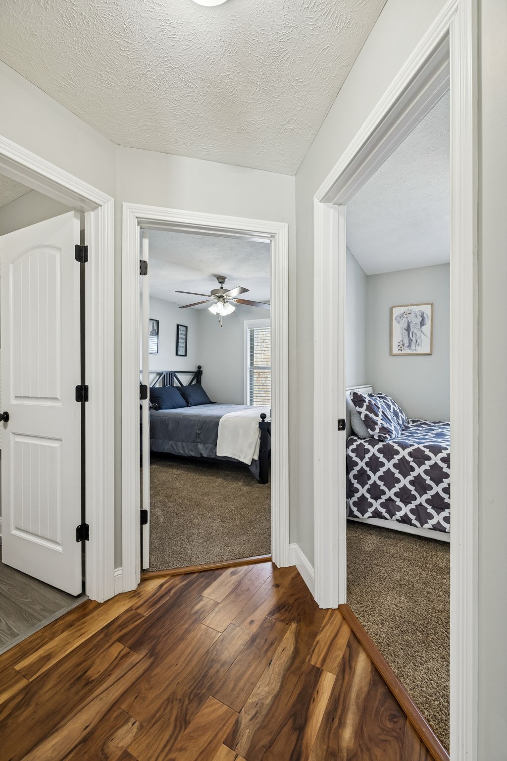 848 Shelton Cir