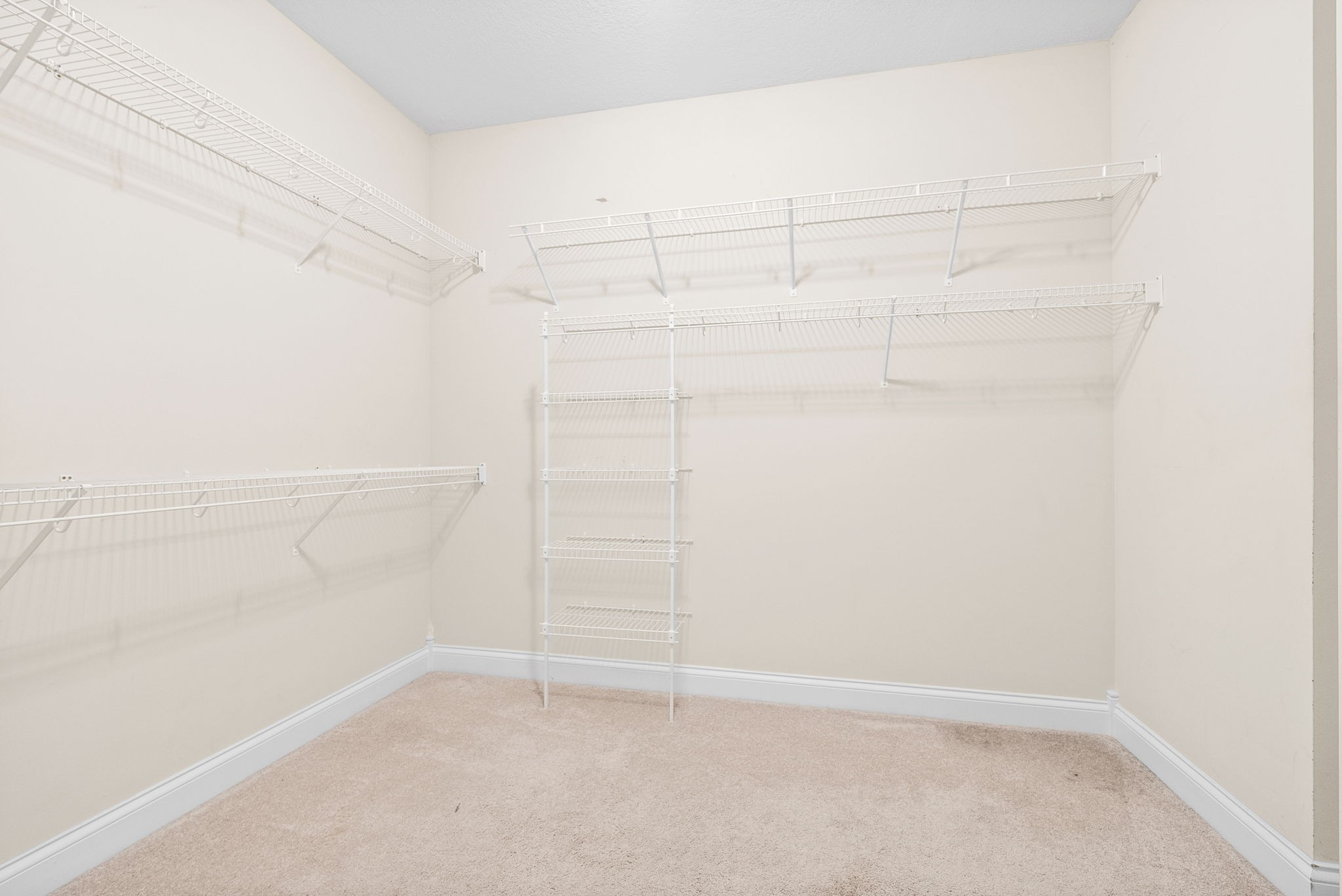 137 Clarendon Trce