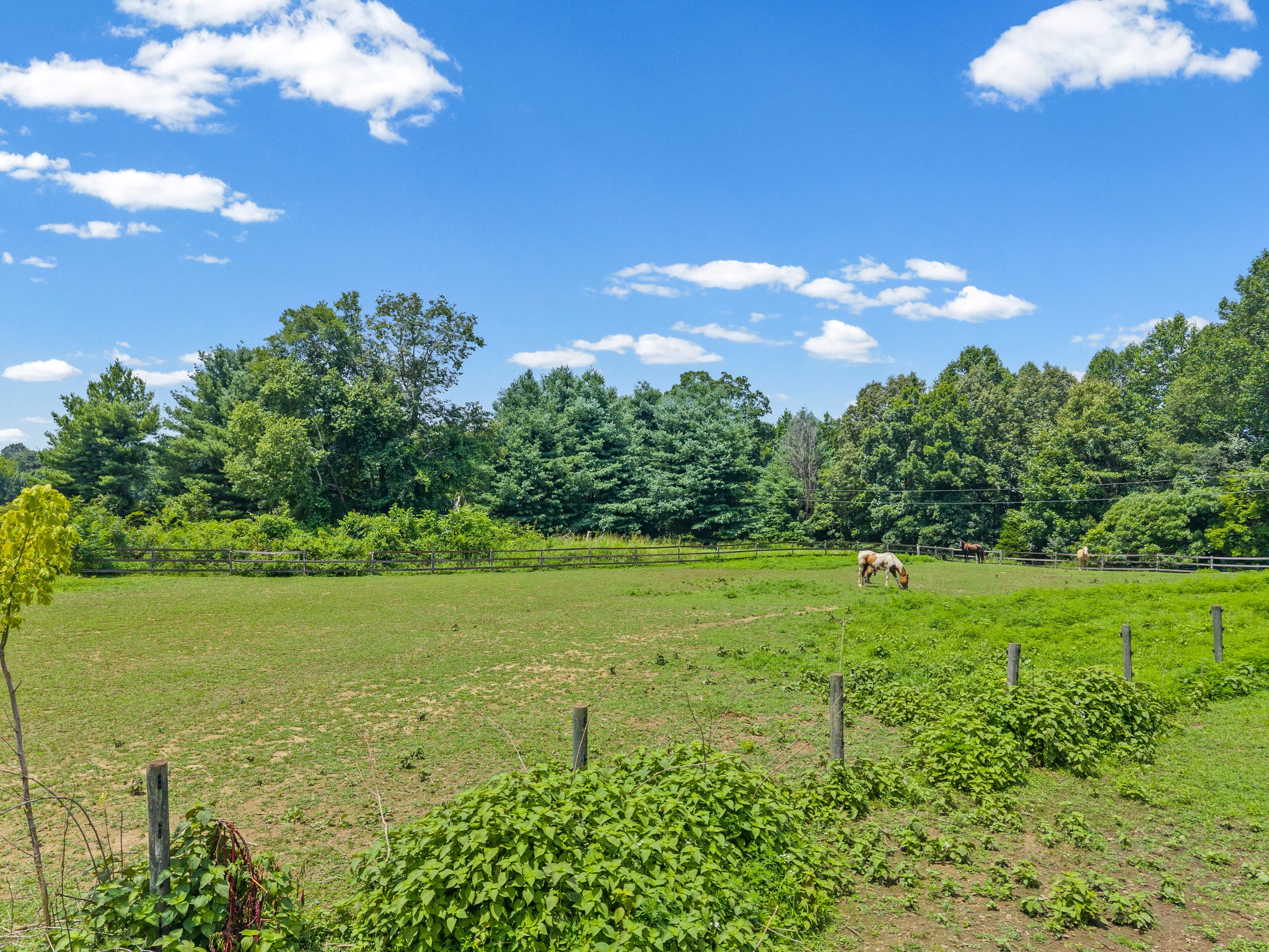 3055 Quisenberry Ln