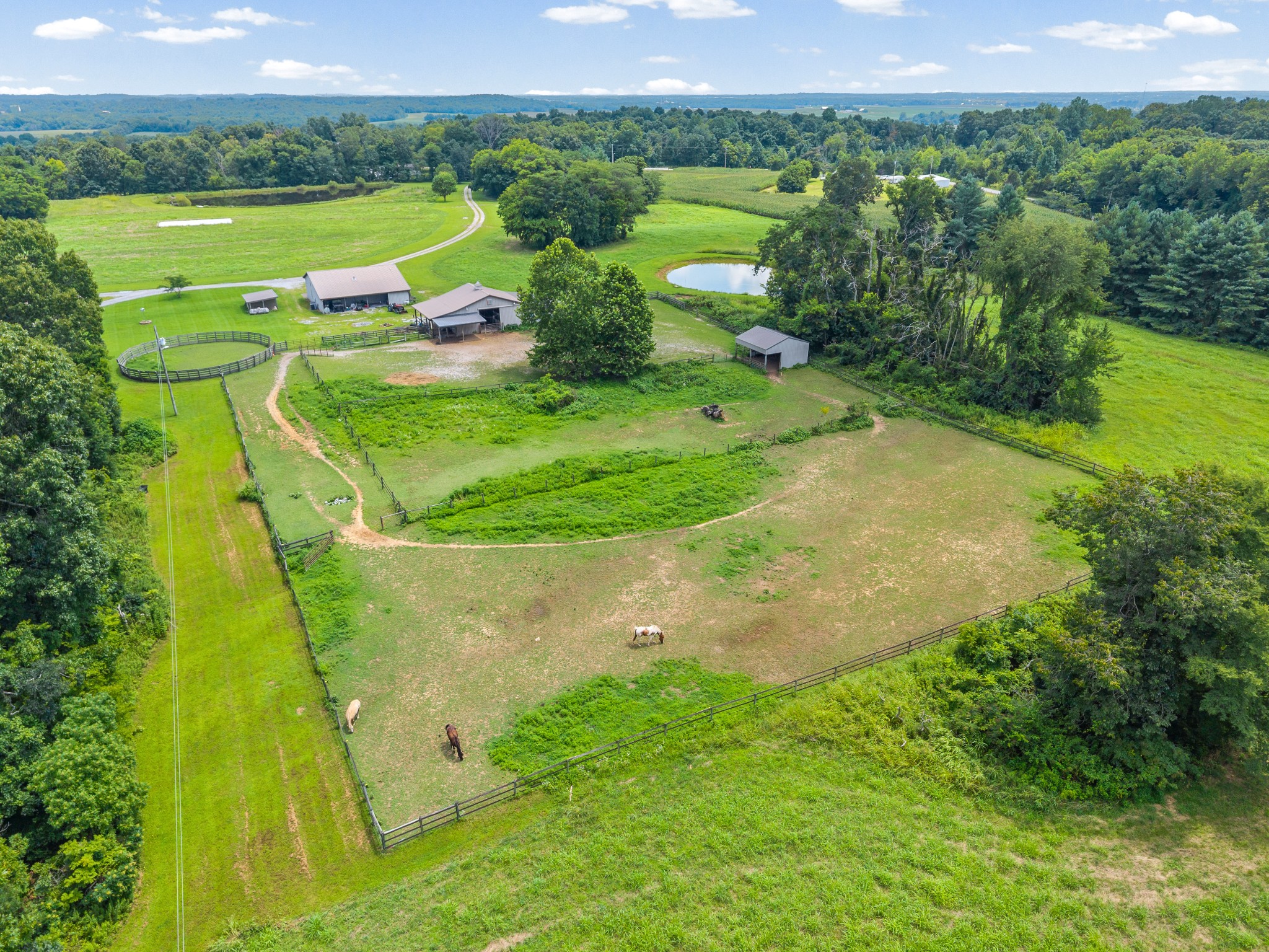 3055 Quisenberry Ln
