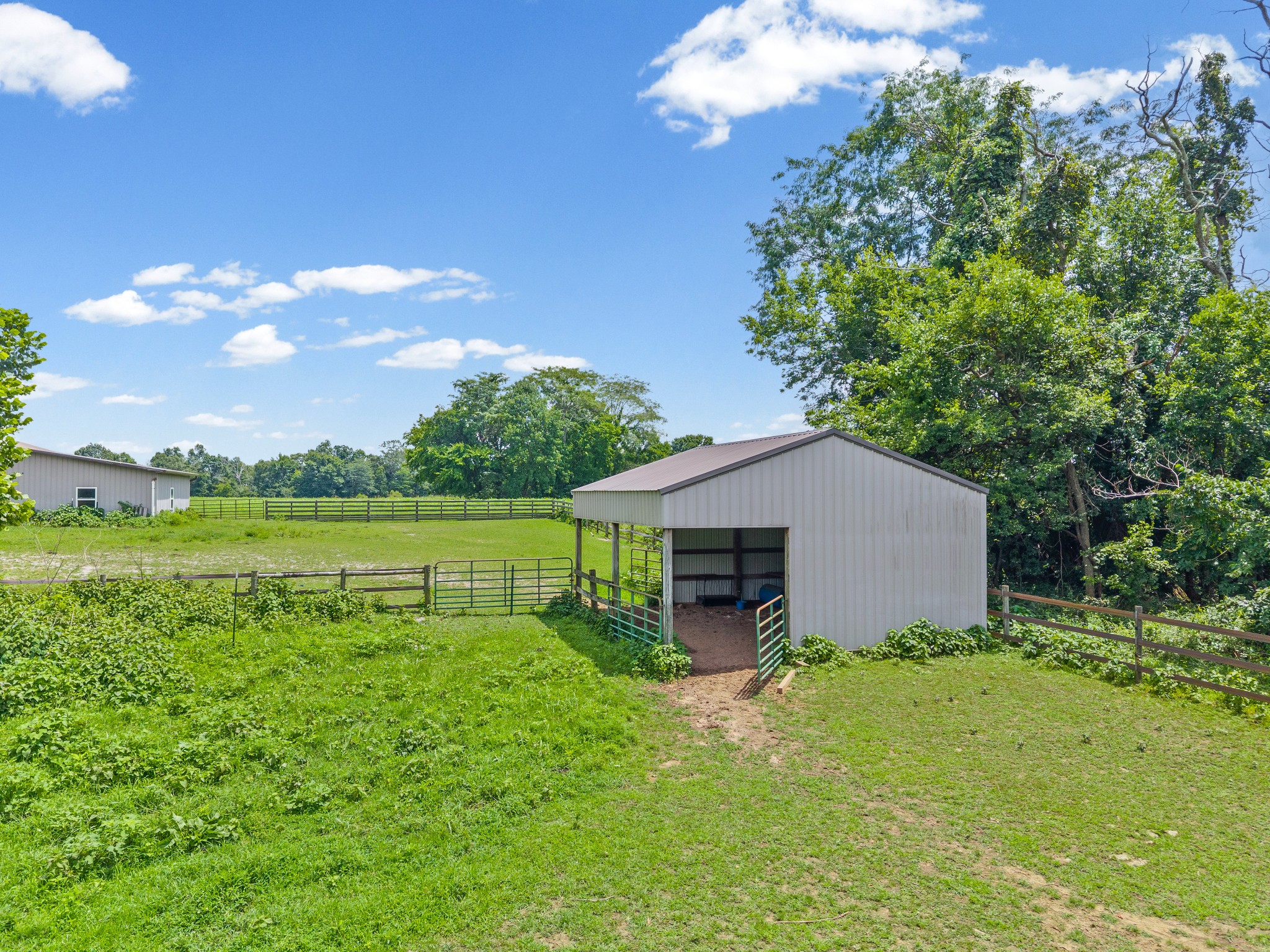3055 Quisenberry Ln