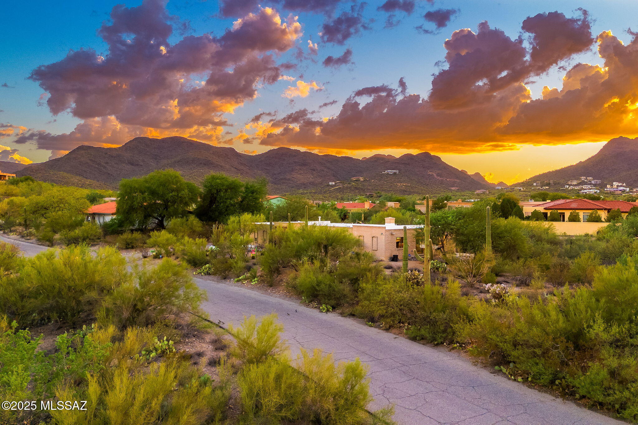 925 N Smoketree Circle