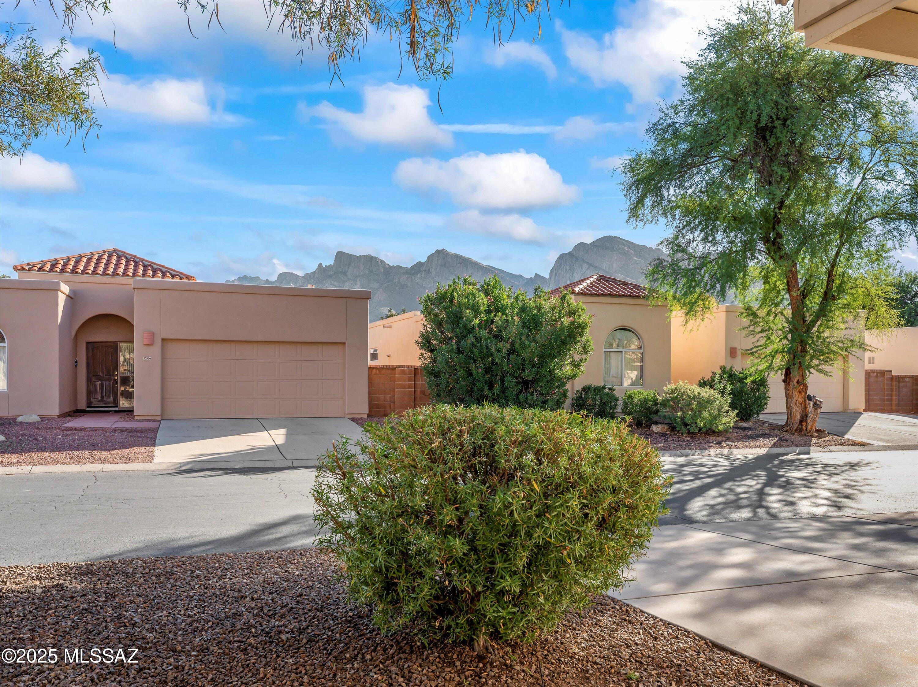 10317 N Mineral Spring Lane