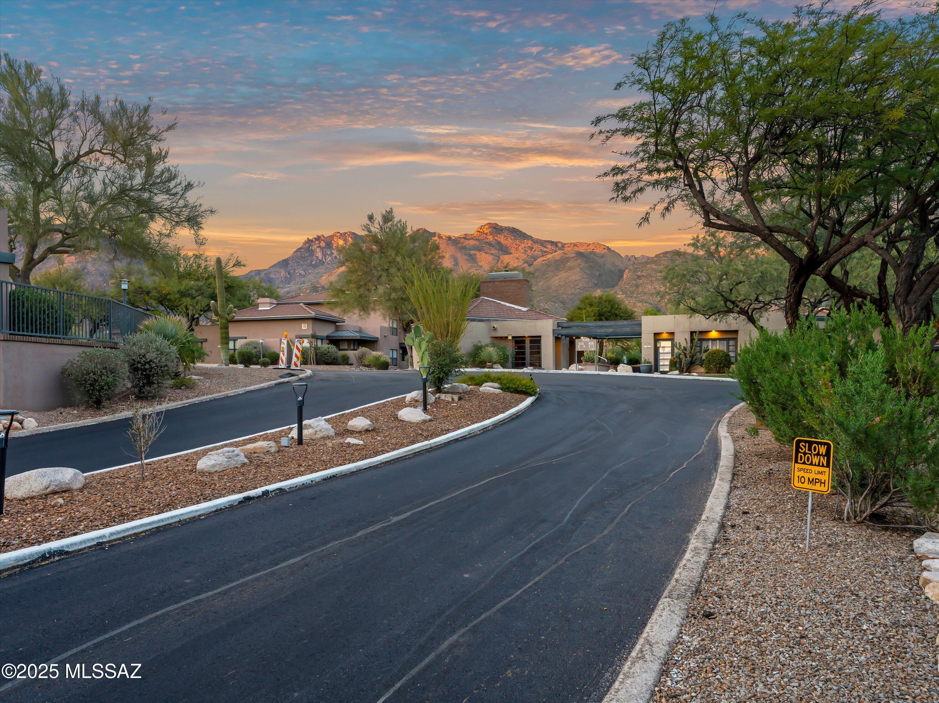 5800 N Kolb Road 1104