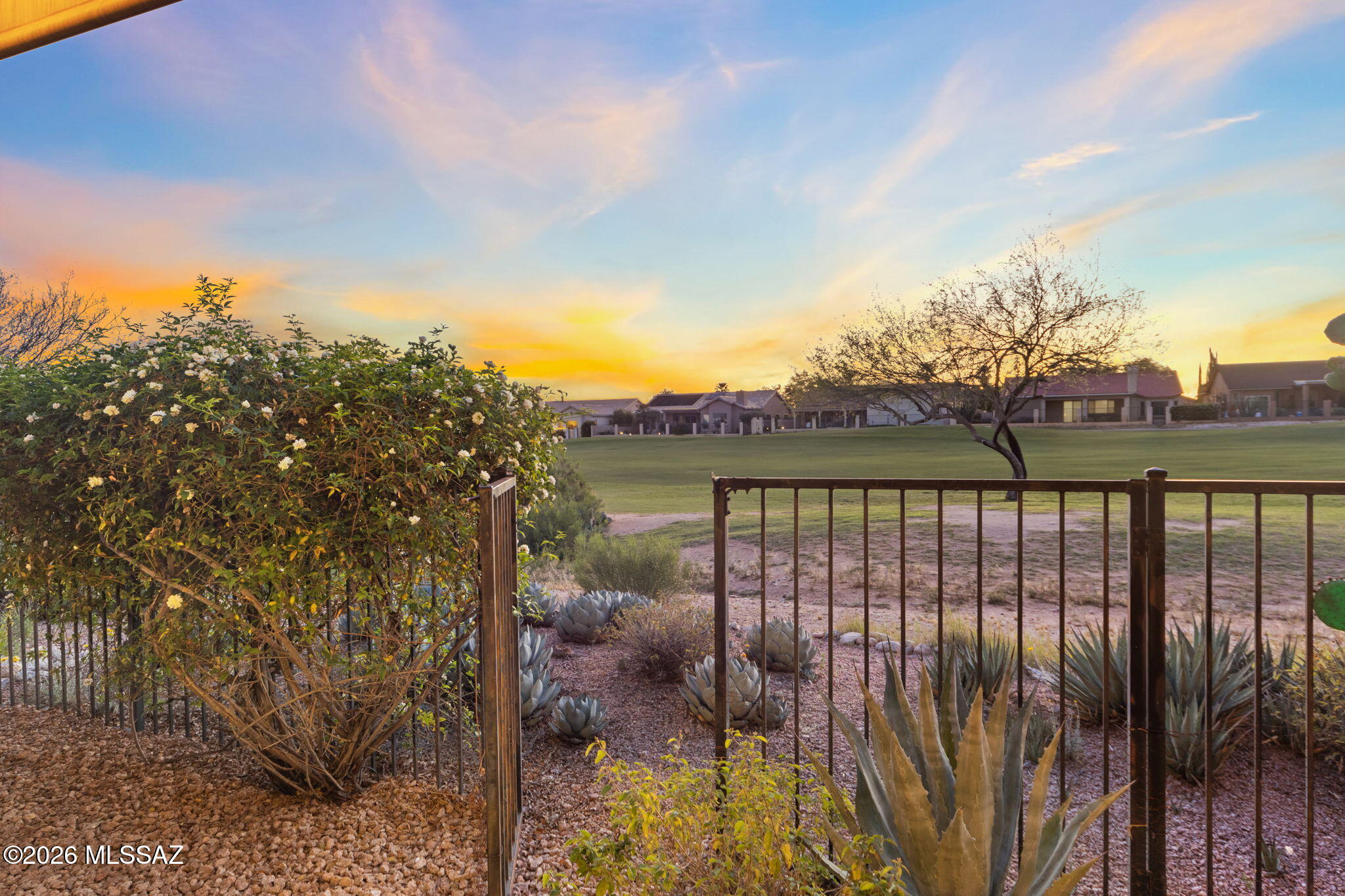 11441 N Palmetto Dunes Avenue