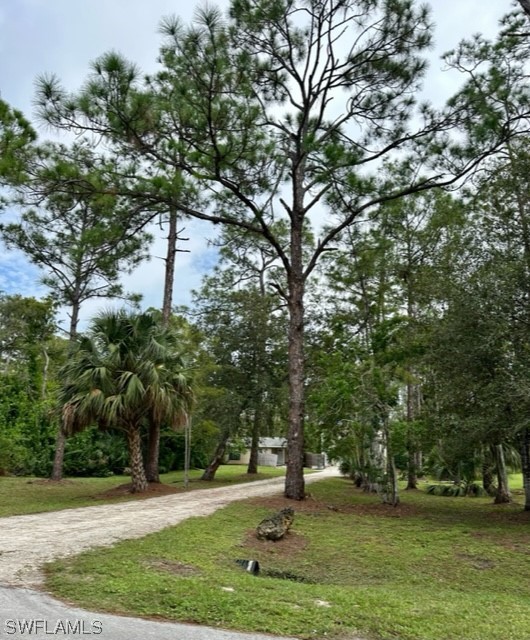 25211 Catskill DR