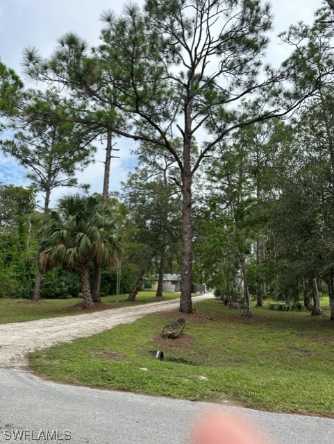 25211 Catskill DR