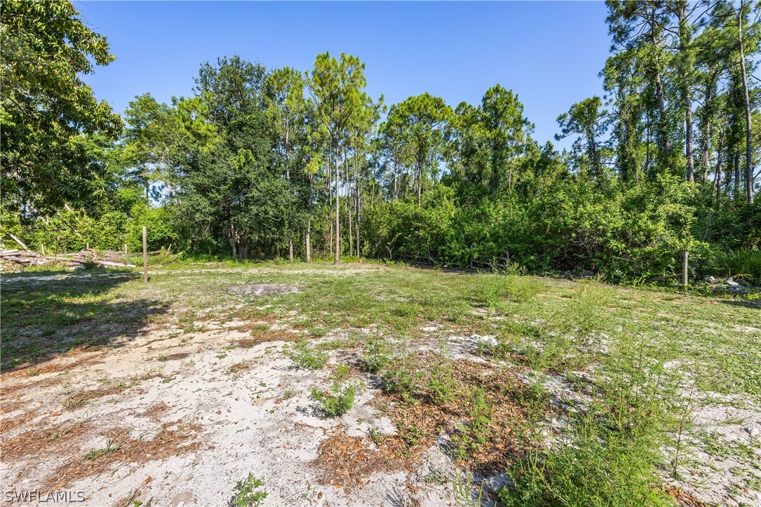 25336 Papillion DR