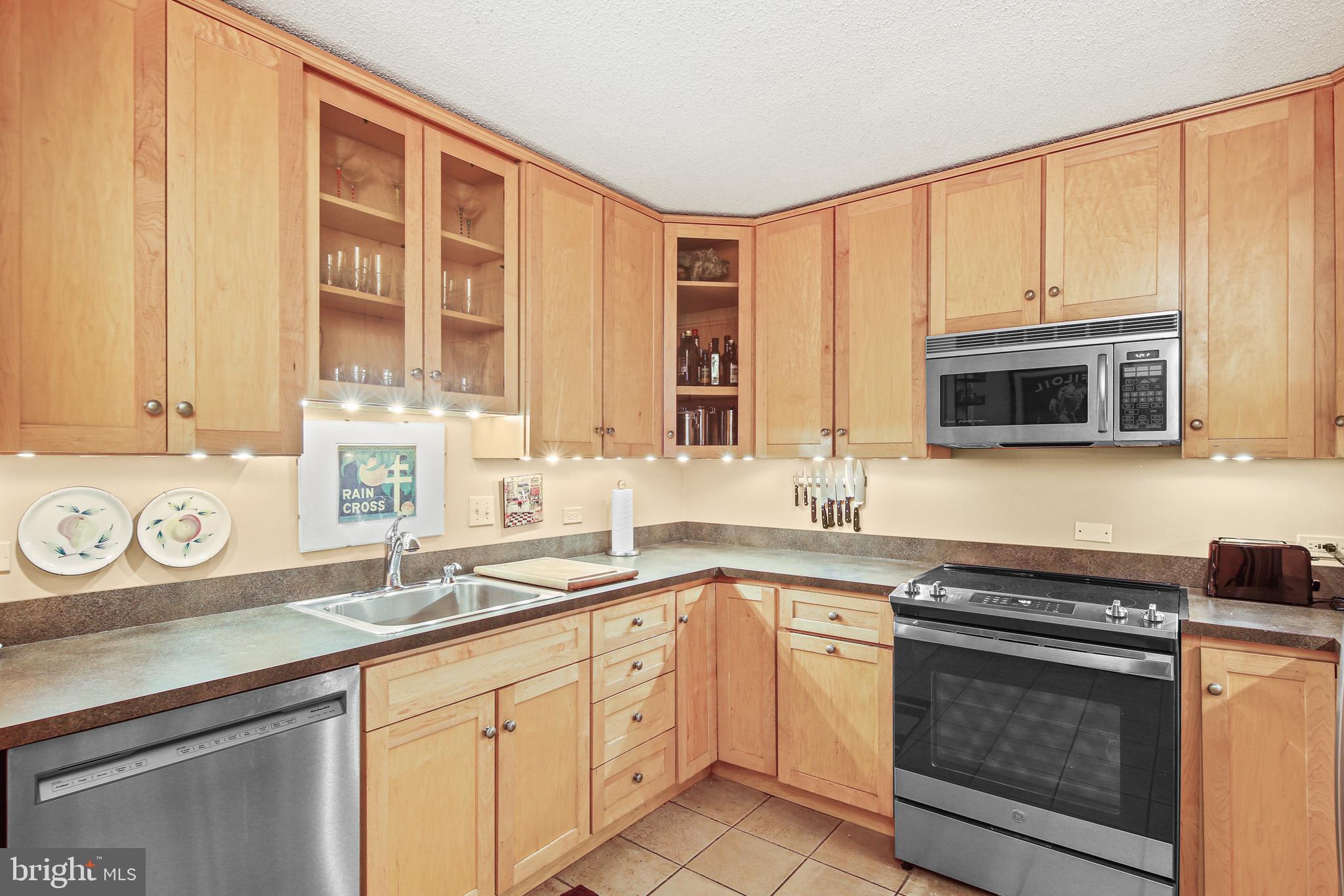 4100 N Charles Street Unit: 1008
