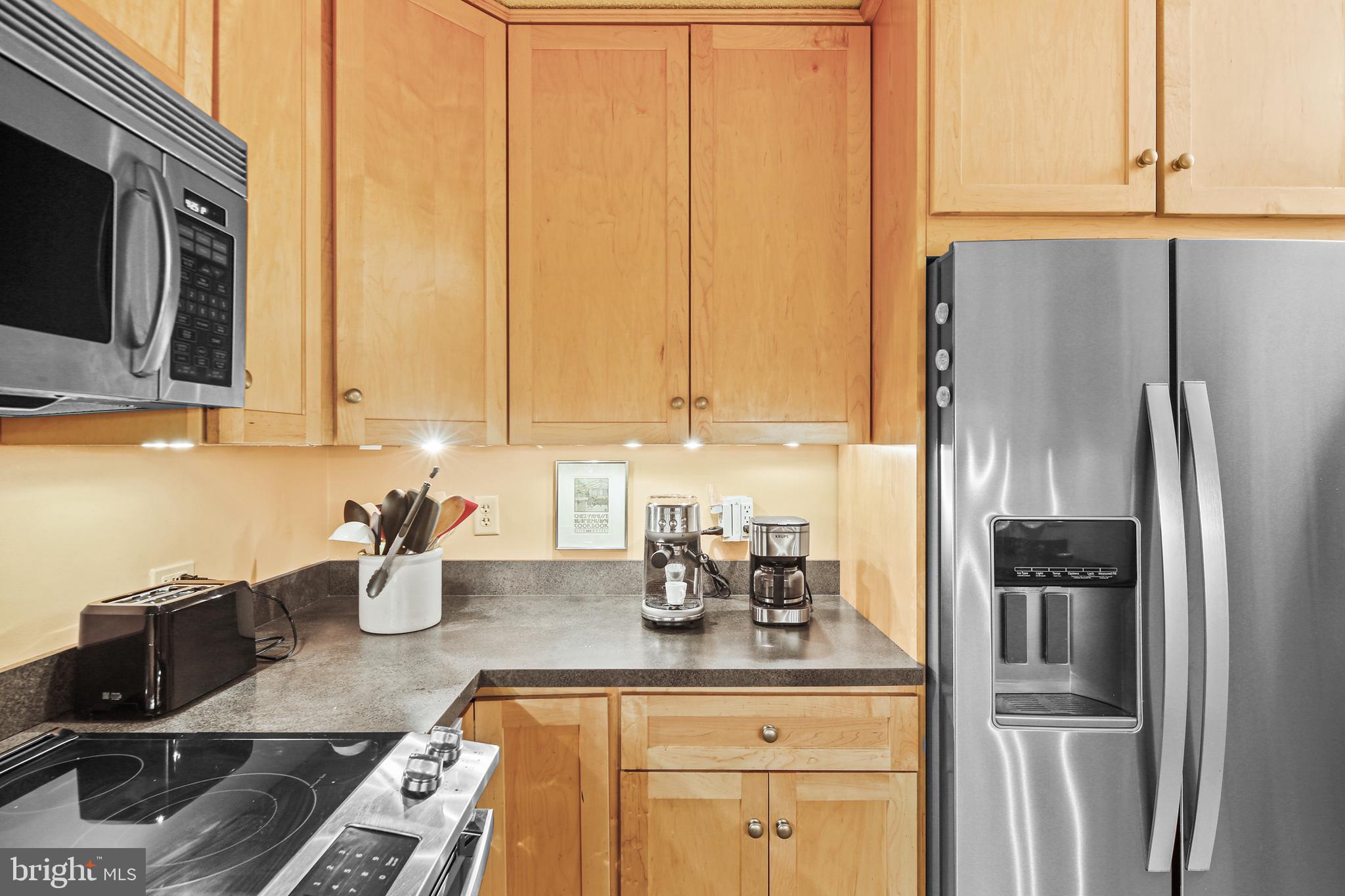 4100 N Charles Street Unit: 1008