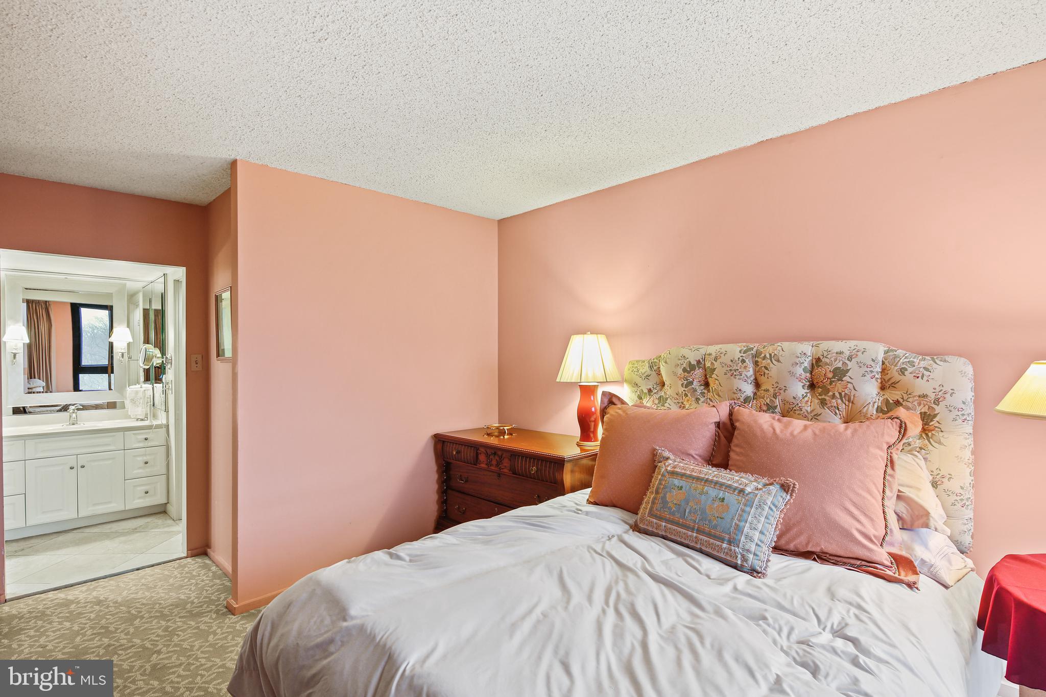 4100 N Charles Street Unit: 1008