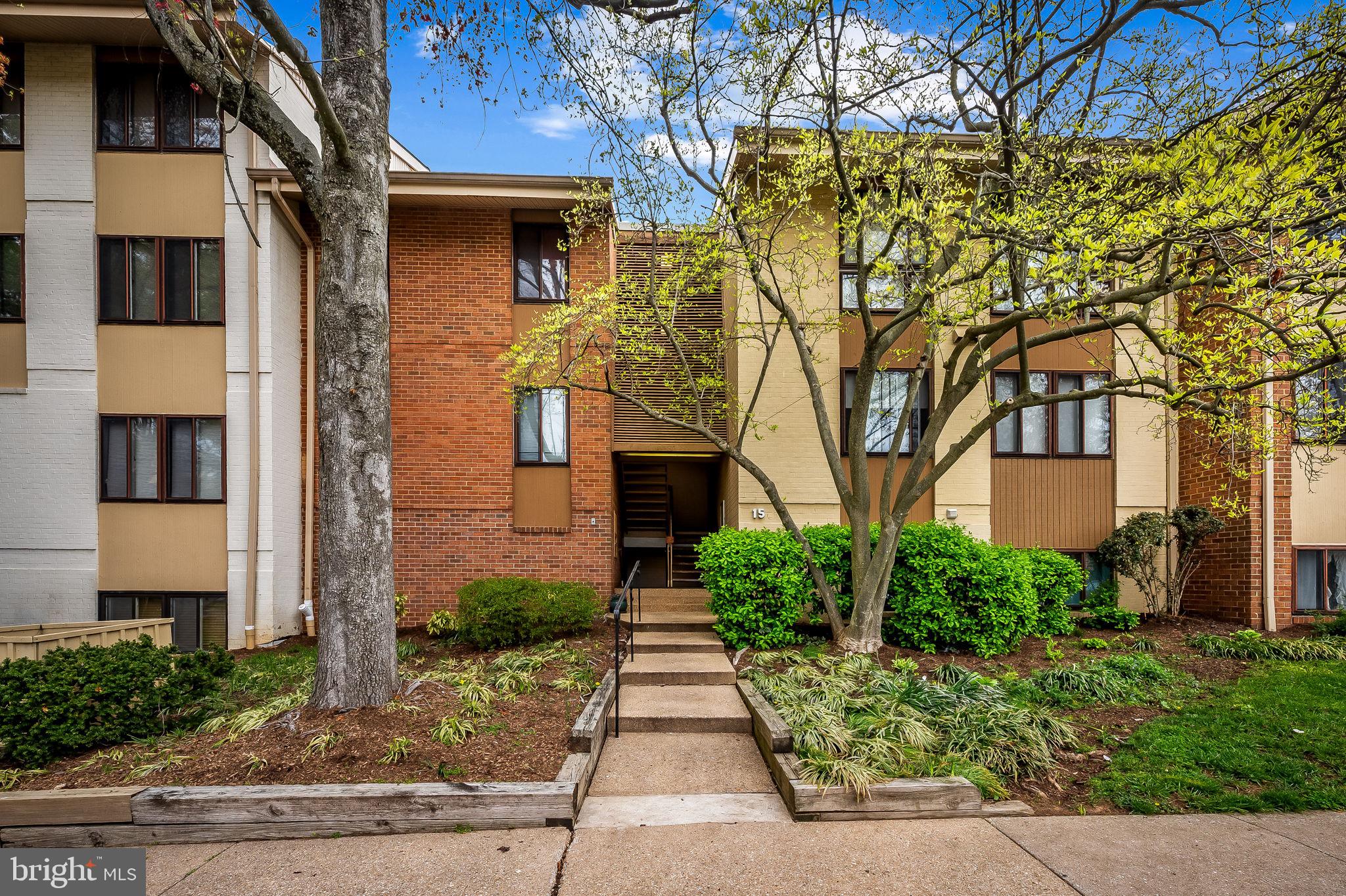 15 Hamill Rd #15a