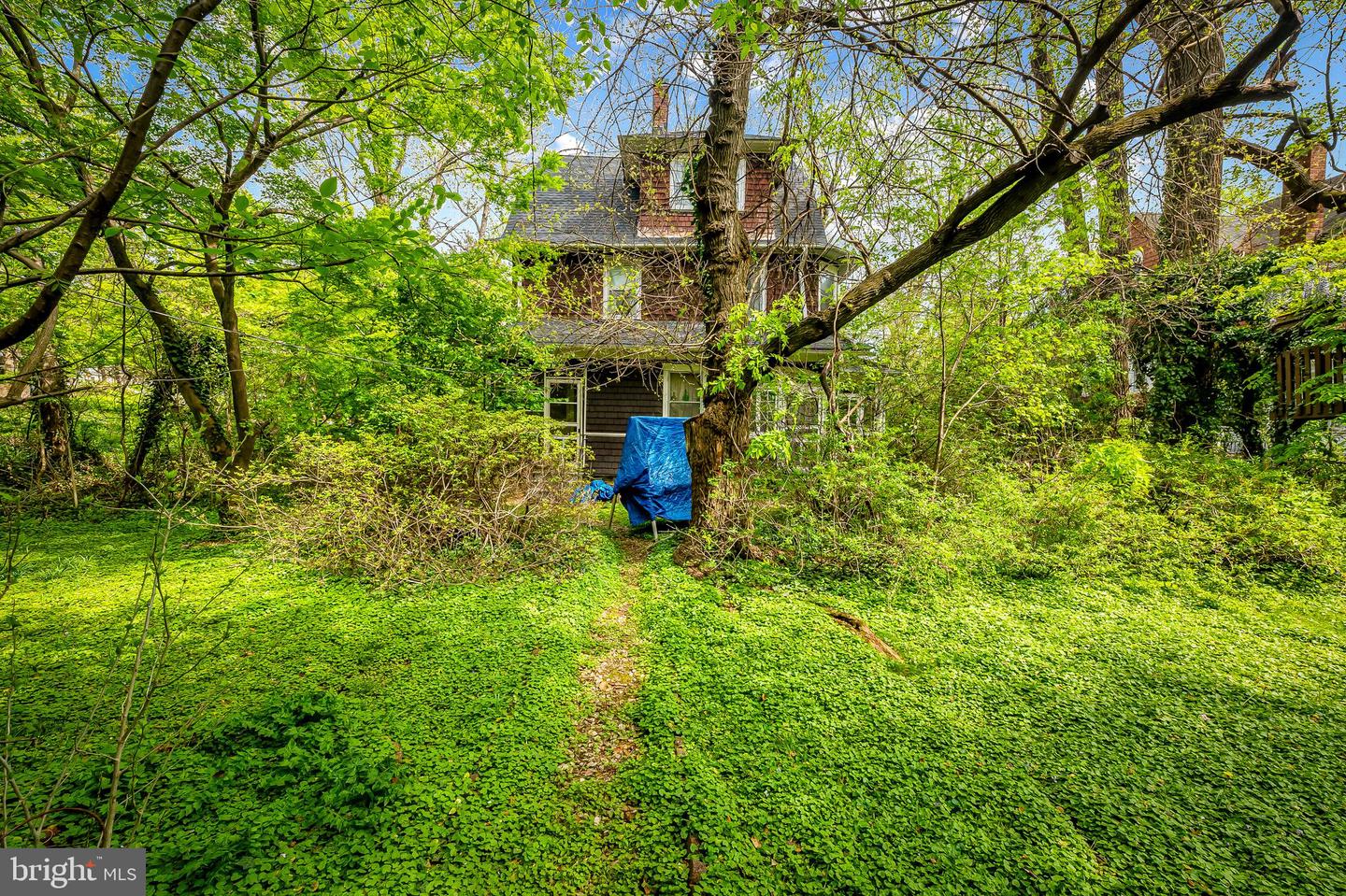 520 Woodlawn Rd