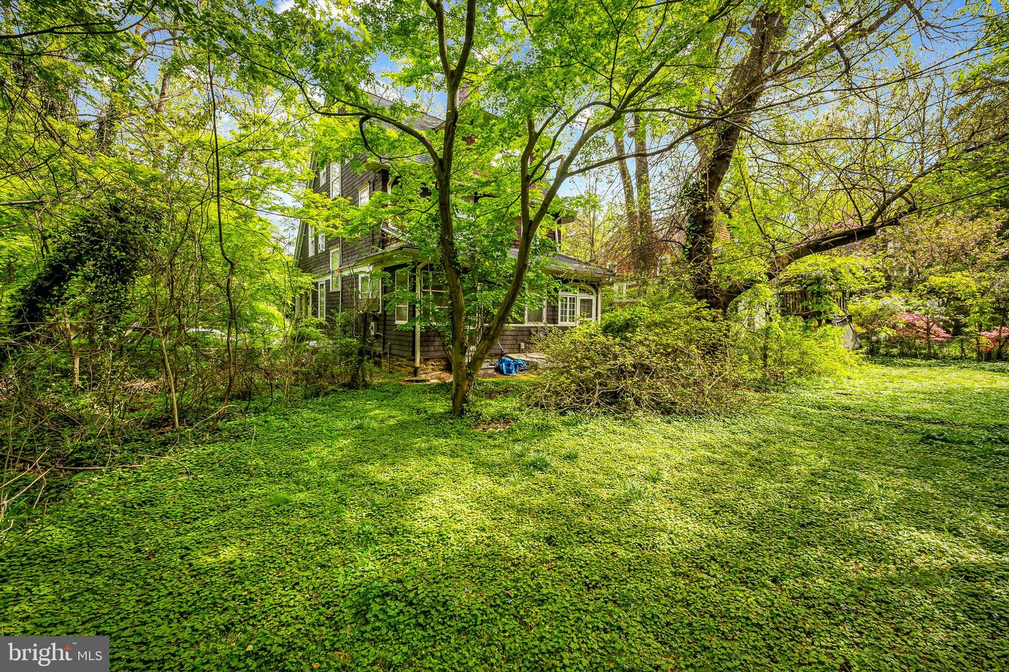 520 Woodlawn Rd