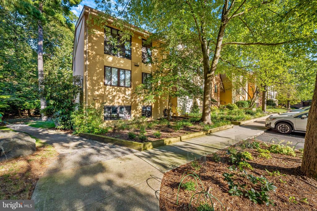 17 HAMILL ROAD F