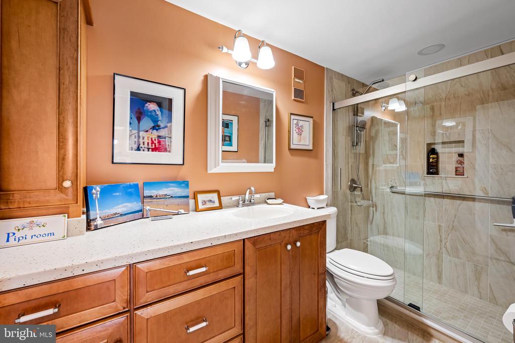 250 PRESIDENT STREET S 909