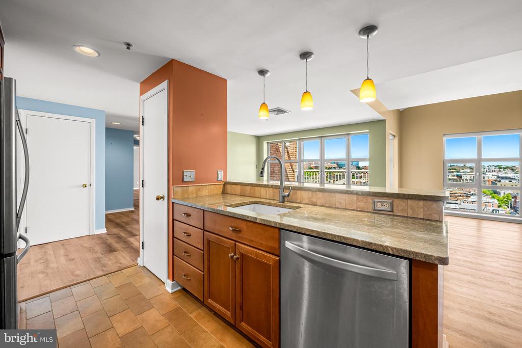 250 PRESIDENT STREET S 909