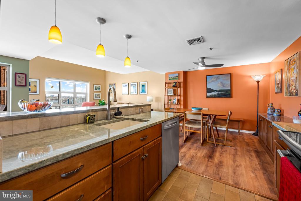 250 PRESIDENT STREET S 909