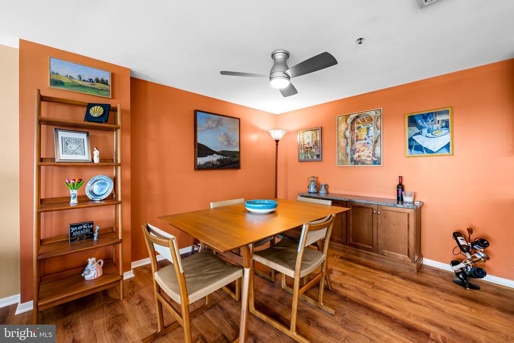 250 PRESIDENT STREET S 909