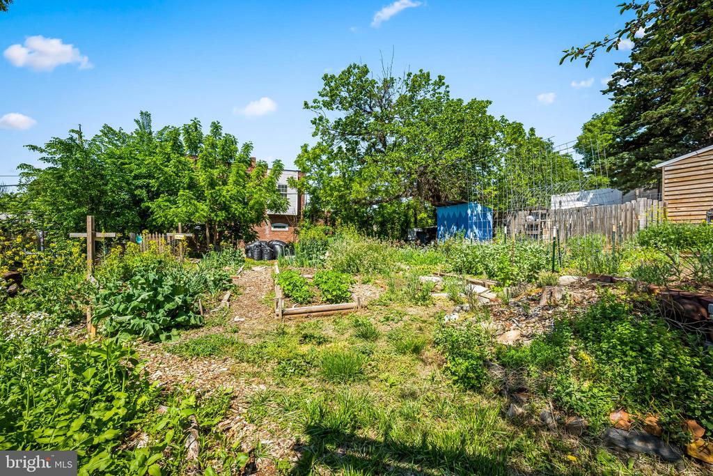 3630 OLD YORK ROAD