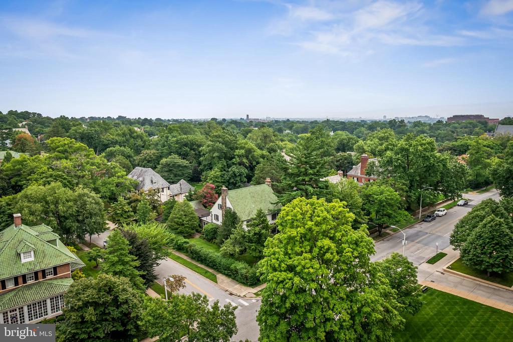 4100 N CHARLES STREET Unit: 1114