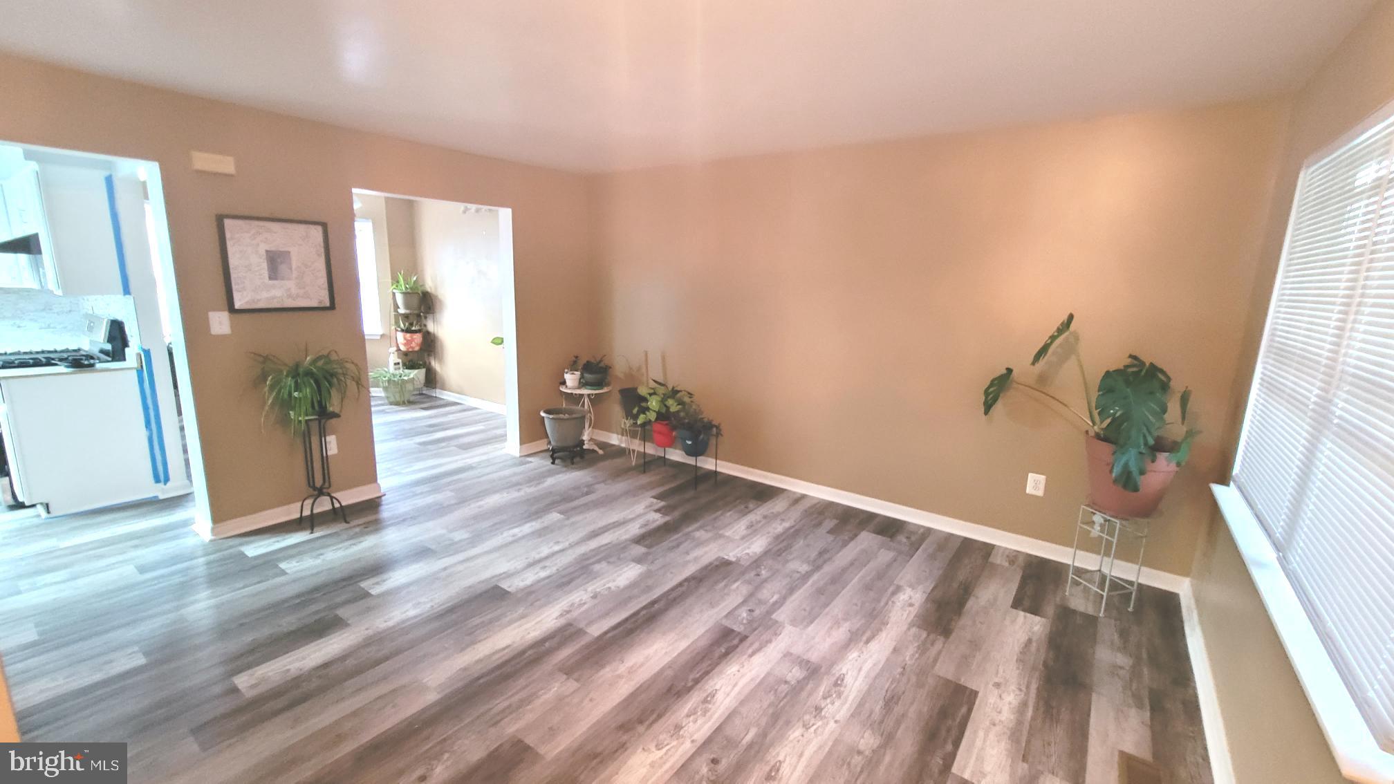 4108 Spider Lily WAY
