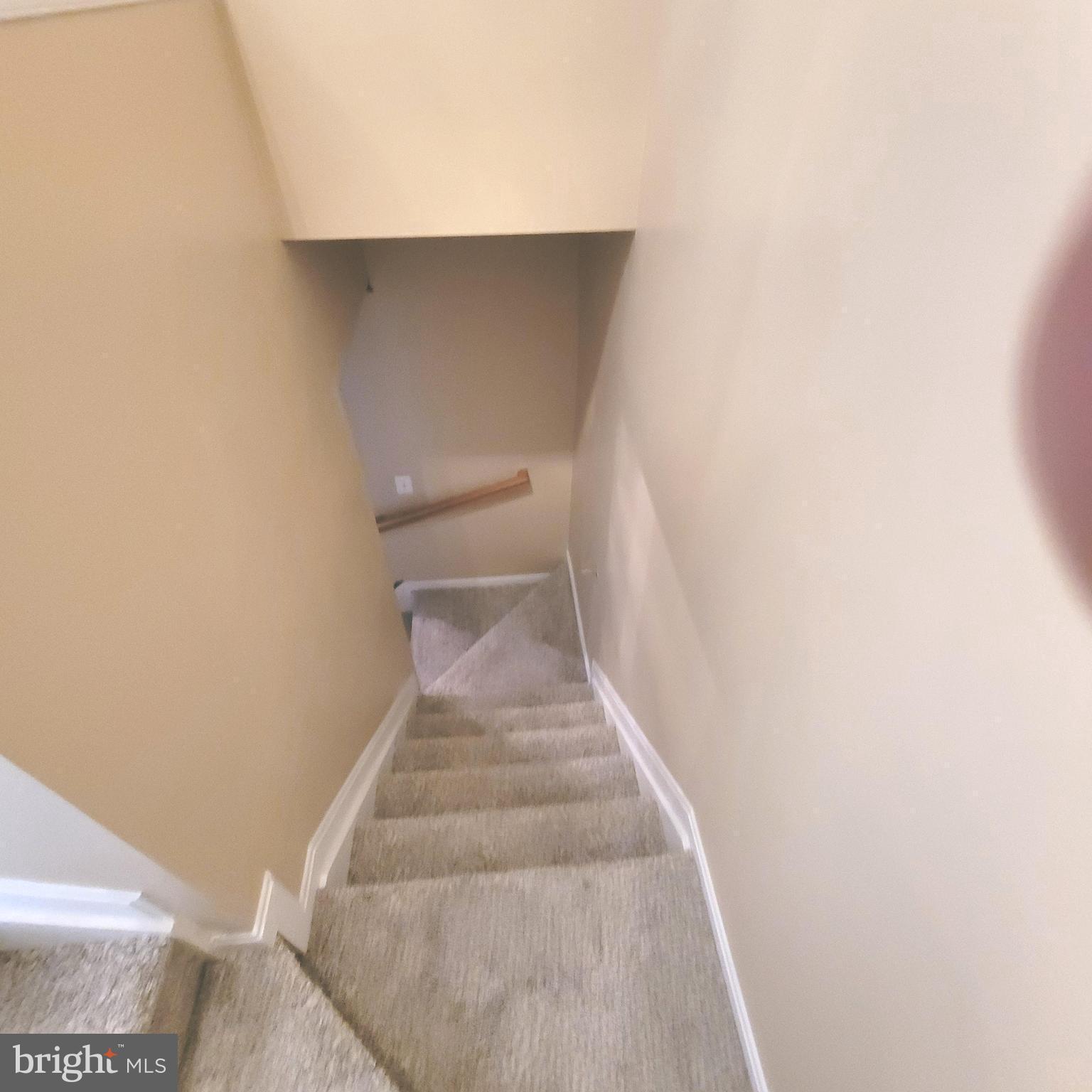 4108 Spider Lily WAY