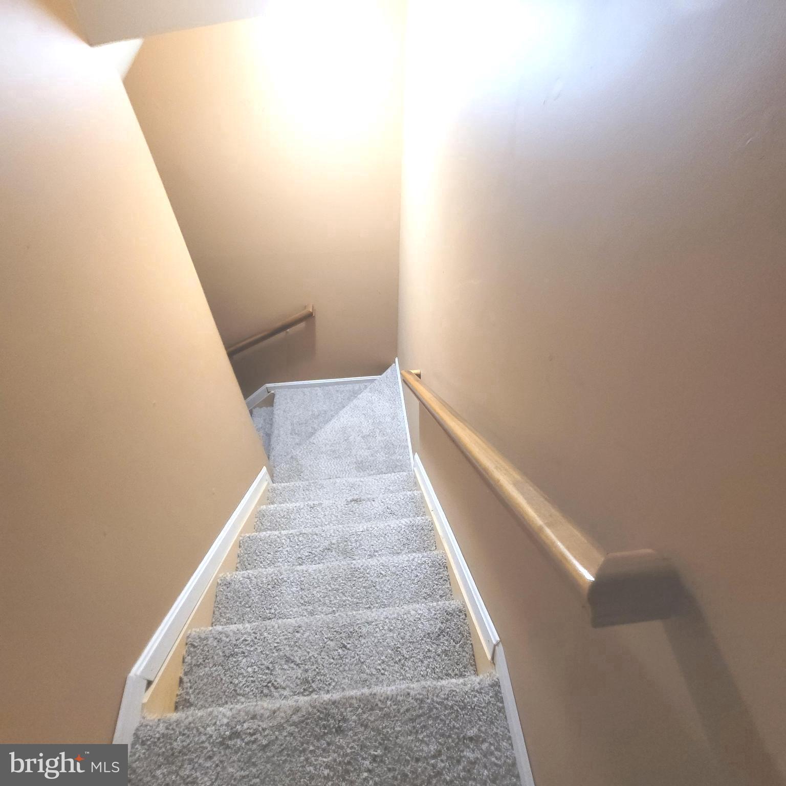 4108 Spider Lily WAY