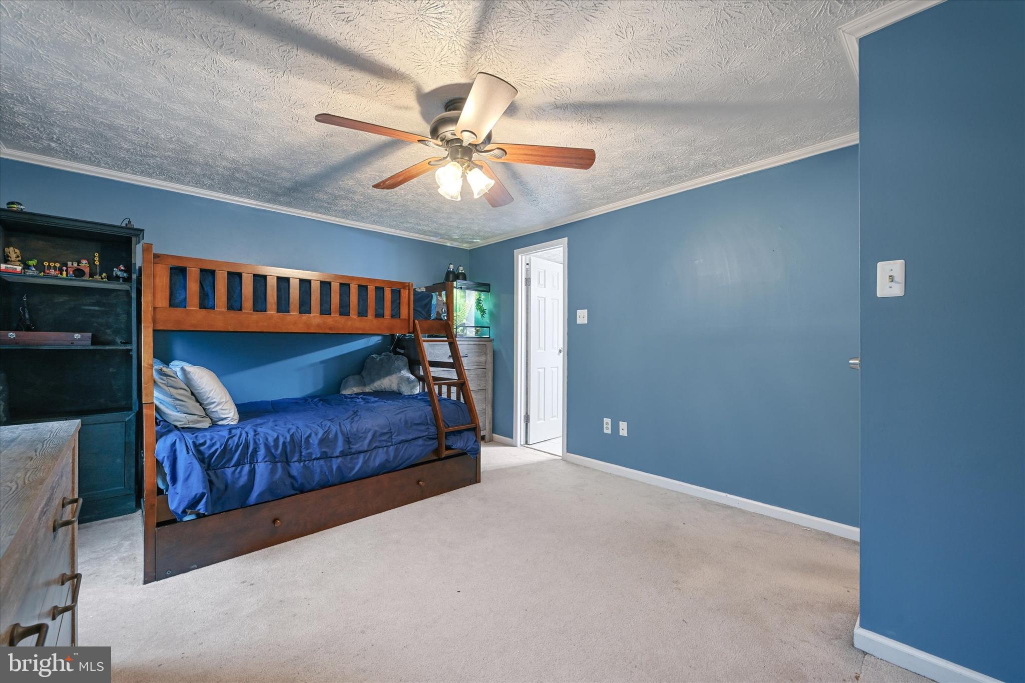 19 Rader Ct