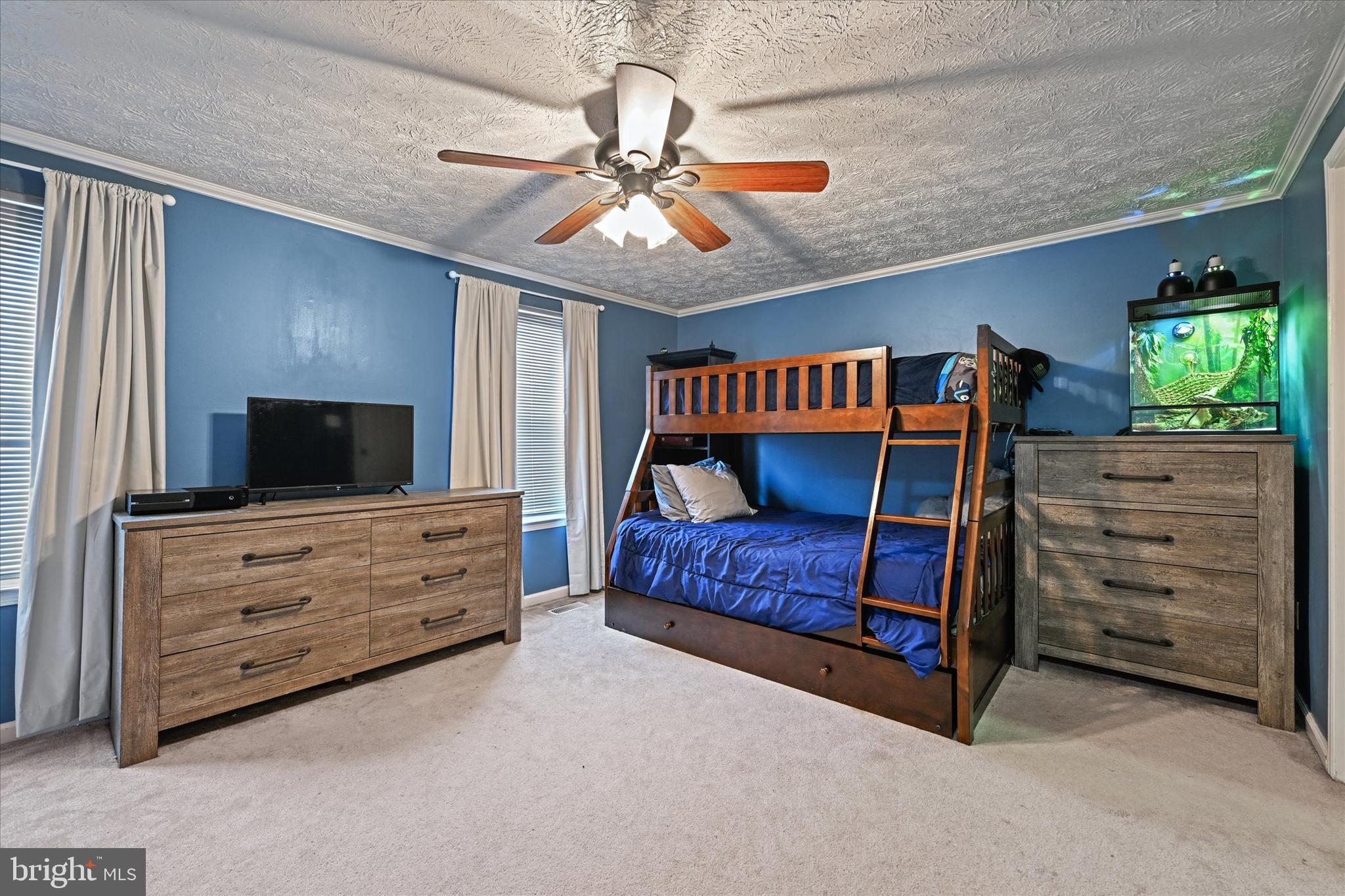 19 Rader Ct