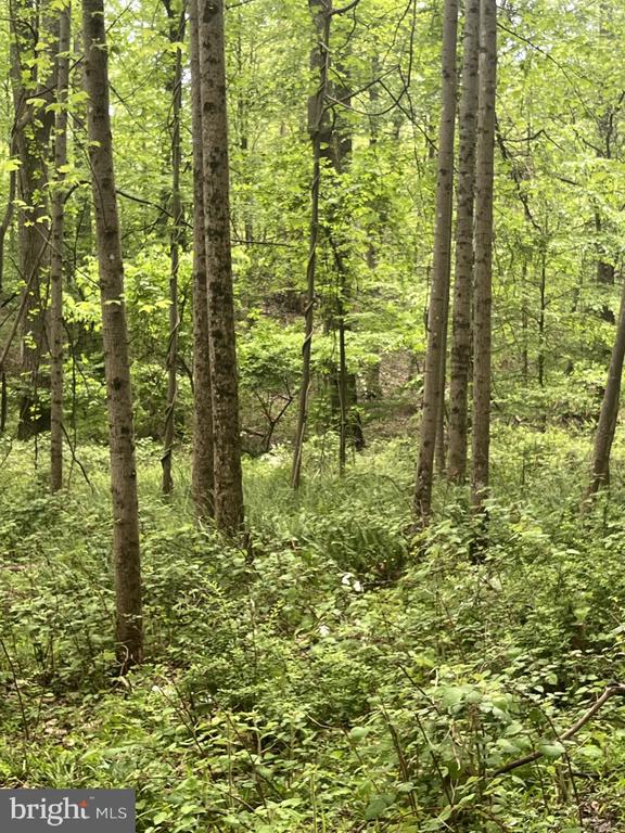 2835 Merrymans Mill Rd