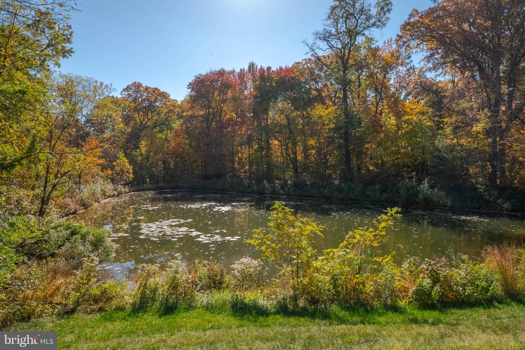 1925 Kathryns Ct #1925