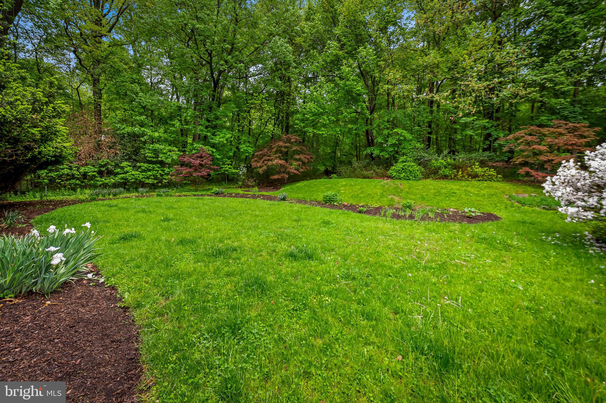 7 Caveswood Ln