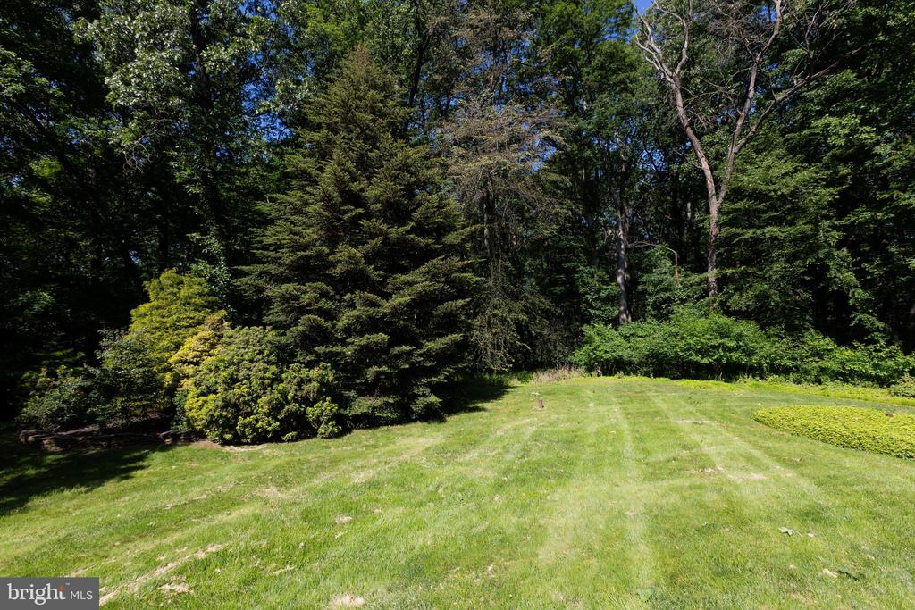 9 Fork Spring Ct