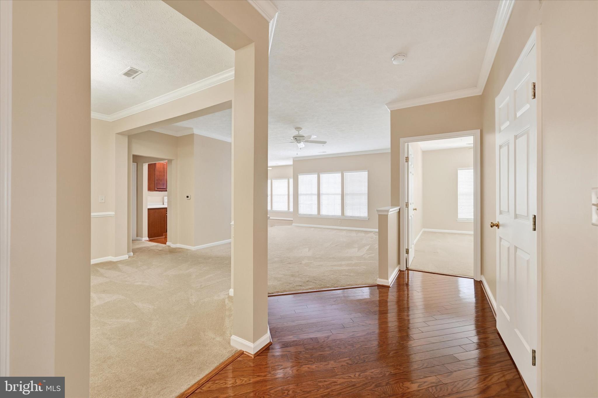 4501-K Dunton Ter #K