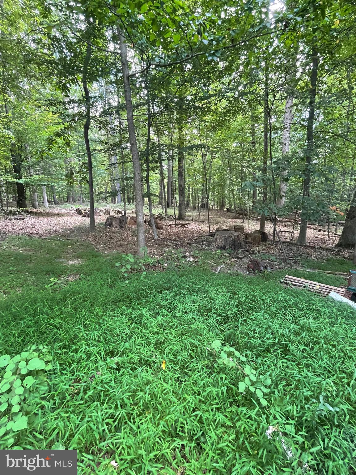 17323 WESLEY CHAPEL ROAD