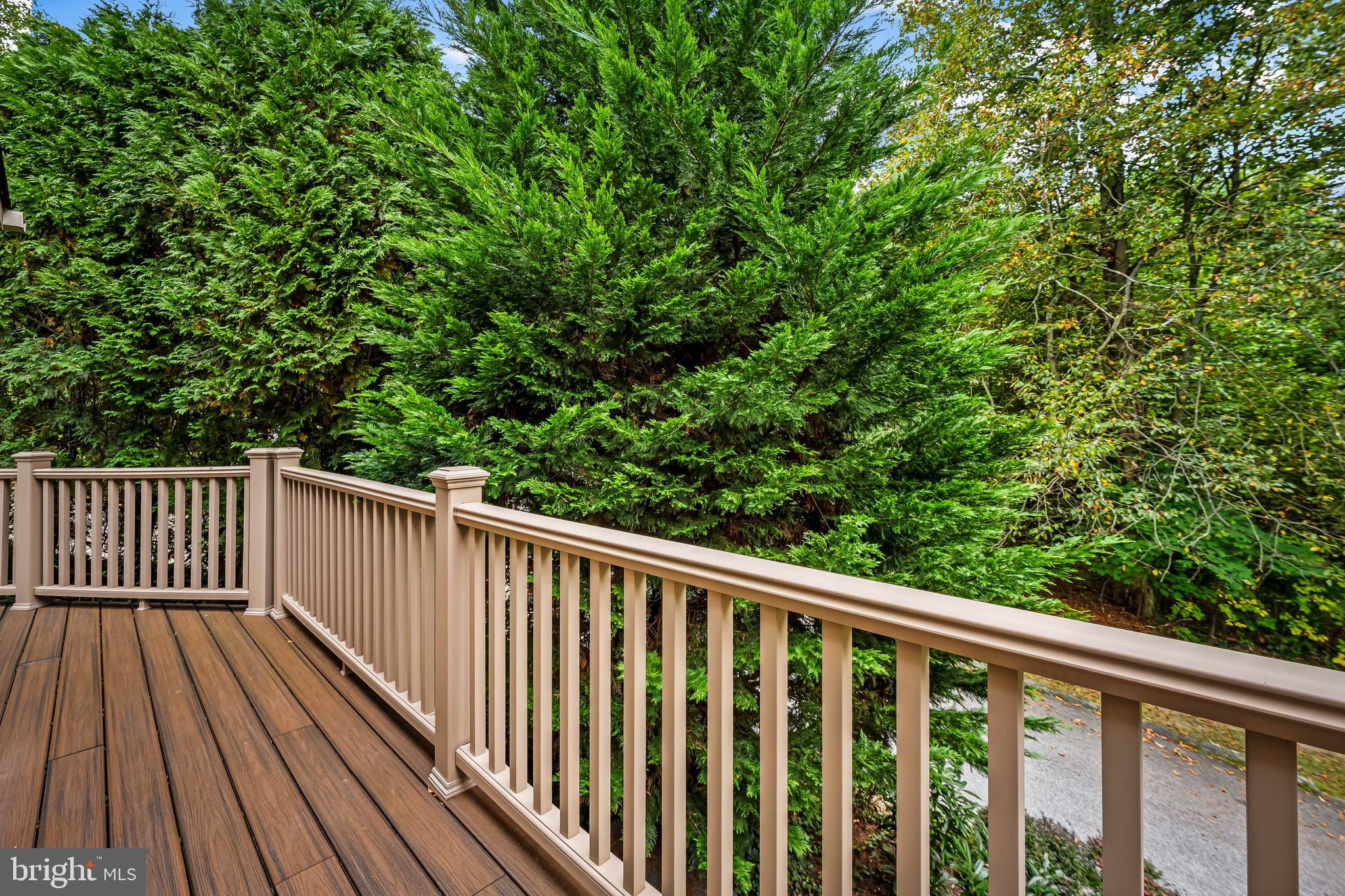 607 W CHESAPEAKE AVENUE